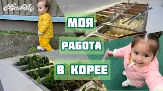 Корея Влог/ Стала свидетелем аварии/Экскурсия по моей работе/ В поиске папы