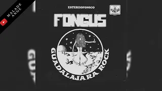 FONGUS - Guadalajara Rock (LP. Album Completo 1980)