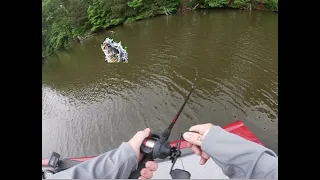 Lake fishing for big bass! (So many fish!)