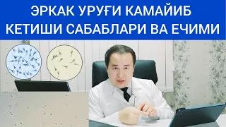 ЭРКАК УРУҒИНИ ПРОЦЕНТИ КАМАЙИШИ САБАБЛАРИ ВА ЕЧИМИ