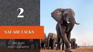 Safari Talks: Episode 2 - What You Didn't Know about Wildlife Photography