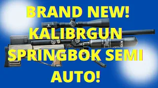 Kalibrgun Springbok W Semi-auto Pcp Air Rifle .22