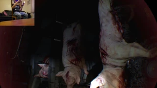 Until Dawn: Rush of Blood (PSVR) Level 2 Playthrough