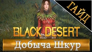 Black Desert Online, Добыча Шкур - Нож для снятия шкур, профессия сбор!
