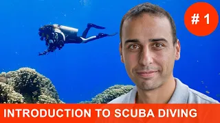 S1E1: Everything you need to know to get started with scuba diving #scubadiving #diving #ronischuetz