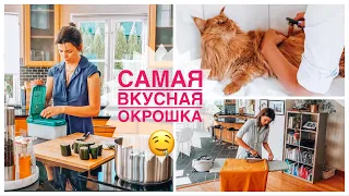 🦋Готовлю и болтаю | Самая вкусная окрошка | Мотивация на глажку | Как я вычесываю пушистую кошку