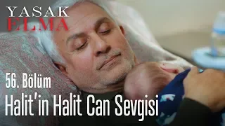 Halit'in Halit Can sevgisi - Yasak Elma 56. Bölüm