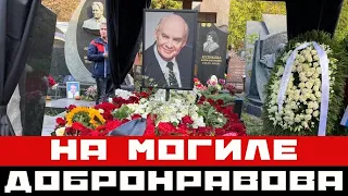 Могила Николая Добронравова на Новодевичьем кладбище