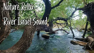 NATURE RELAX FLOWING RIVER SOUND