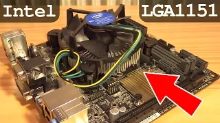 How To Install CPU Intel LGA1151 and Fan - i3 6100