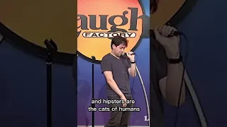 Bros vs Hipsters. Standup comedy - Danny Jolles. #bros #hipster #cats #dogs #comedy #shorts #standup