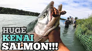 Kenai River SOCKEYE SALMON!!! Alaska Combat Fishing!