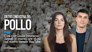 LIVE: Dietro l'industria del pollo con Giulia Innocenzi