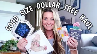 Good Size Dollar Tree Haul / Ideas | July 25