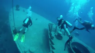 Scuba Diving in Eilat - צלילה באילת - הסטי"ל