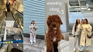 WEEKLY VLOG: lots of hauls + new coffee machine + clean with me