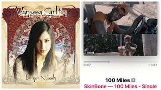 Skinbone vs Vanessa Carlton - "A Hundred Thousand Miles" mashup