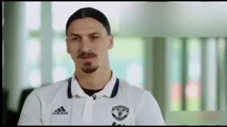 Zlatan Ibrahimovic ''Lions don't compare themselves with humans''