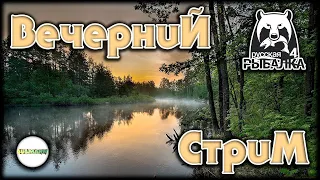 🔴РУССКАЯ РЫБАЛКА 4 (RUSSIAN FISHING 4)🔴 -  ИЩЕМ ТРОФЕИ.