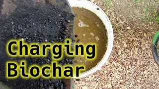 How to charge biochar