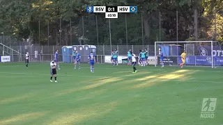 Die Höhepunkte Bremer SV gegen Hamburger SV II