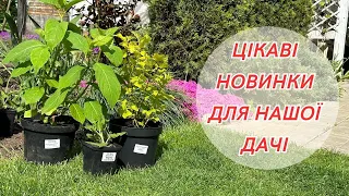 Розпаковка нових рослин! Дивіться що купили! Огляд з цінами! | 12.05.2023