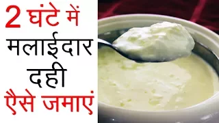 दही जमाने का सही तरीका | Indian Dahi Recipe in Hindi | How to make Homemade Curd