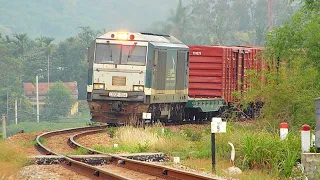 14 TRAINS IN VIETNAM 2020 - (Đoàn tàu hỏa trên đường về thật đẹp)