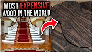 Ranking the most Expensive Wood In The World! (This is ridiculously EXPENSIVE)