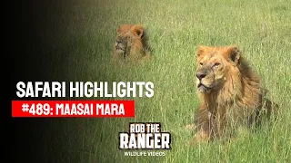 Safari Highlights #489: 28th March 2018 | Maasai Mara/Zebra Plains | Latest #Wildlife Sightings