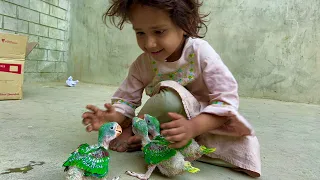 Baby Doll Girls Playing Parrot Baby- Parrot Talking Natural Sound - Raw Baby Parrot Green 🤩