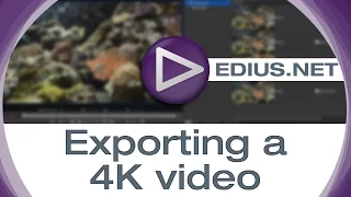 EDIUS.NET Podcast - Exporting a 4K video