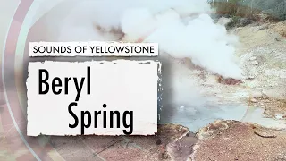 Beryl Spring — ASMR, Sleep, Concentration (Sounds of Yellowstone)