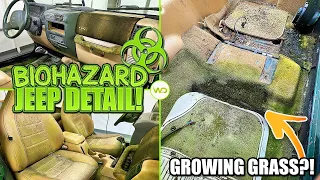 Deep Cleaning the MOLDIEST BIOHAZARD JEEP EVER! | Satisfying DISASTER Car Detailing Transformation