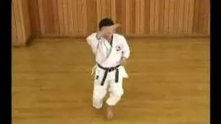 Kata Heian Shodan