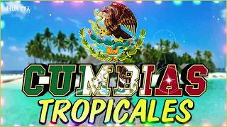 TROPICALES MIX PARA BAILAR EXITOS🌴CUMBIAS TROPICALES 2024🍉JUNIOR KLAN,LOS KARKIS,ACAPULCO TROPICAL