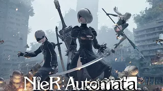 NieR : Automata platinum cheat code