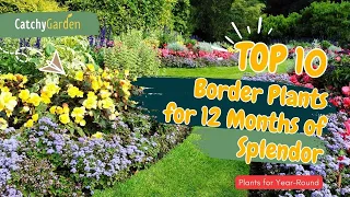 10 Best Border Plants for 12 Months of Splendor 🌷🌿🌻 // Gardening Ideas