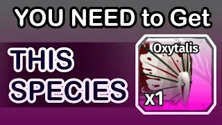 Oxytalis, the OVERPOWERED tier 5!