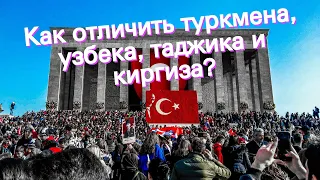 Как отличить туркмена, узбека, таджика и киргиза?