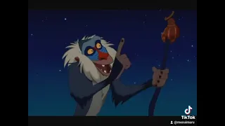 Rafiki gives Simba some advice.