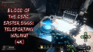 BLOOD OF THE DEAD Easter Eggs: 'Teleporting Walnut' Guide (4K)