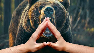 Техника «треугольник», которая спасет вас от нападения медведя