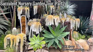 Succulent Nursery Garden Tour Part2