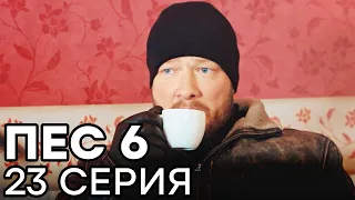 Сериал ПЕС 6 - 6 сезон - 23 серия - ВСЕ СЕРИИ смотреть онлайн | СЕРИАЛЫ ICTV