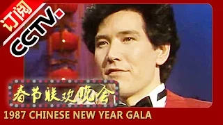 歌曲《故乡的云》《冬天里的一把火》 费翔 1987年央视春节联欢晚会 | CCTV春晚