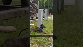 Video of Grandfather Campground, NC from Charles H.