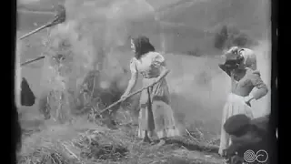 Brûleuses d'herbes ( 1899 год )