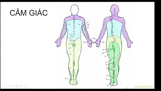 THOÁT VỊ ĐĨA ĐỆM | THS.BS.CKI. Nguyễn Duy Linh