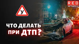 Порядок действий водителя при ДТП! Смотри и СОХРАНЯЙ